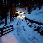 “in Dai Guriuz”
