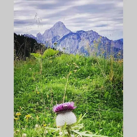 Alpesi faház “in Dai Guriuz”