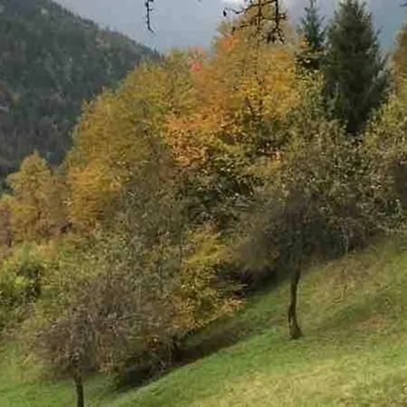 “in Dai Guriuz” * Ravinis