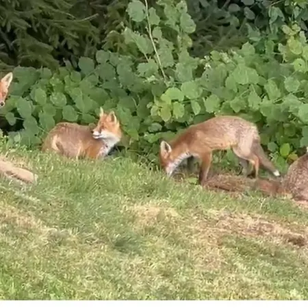 Dağ evi “in Dai Guriuz”