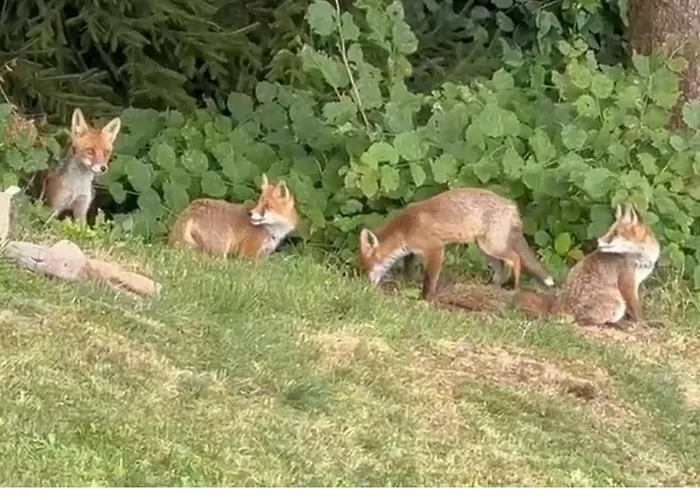 Σαλέ “in Dai Guriuz”